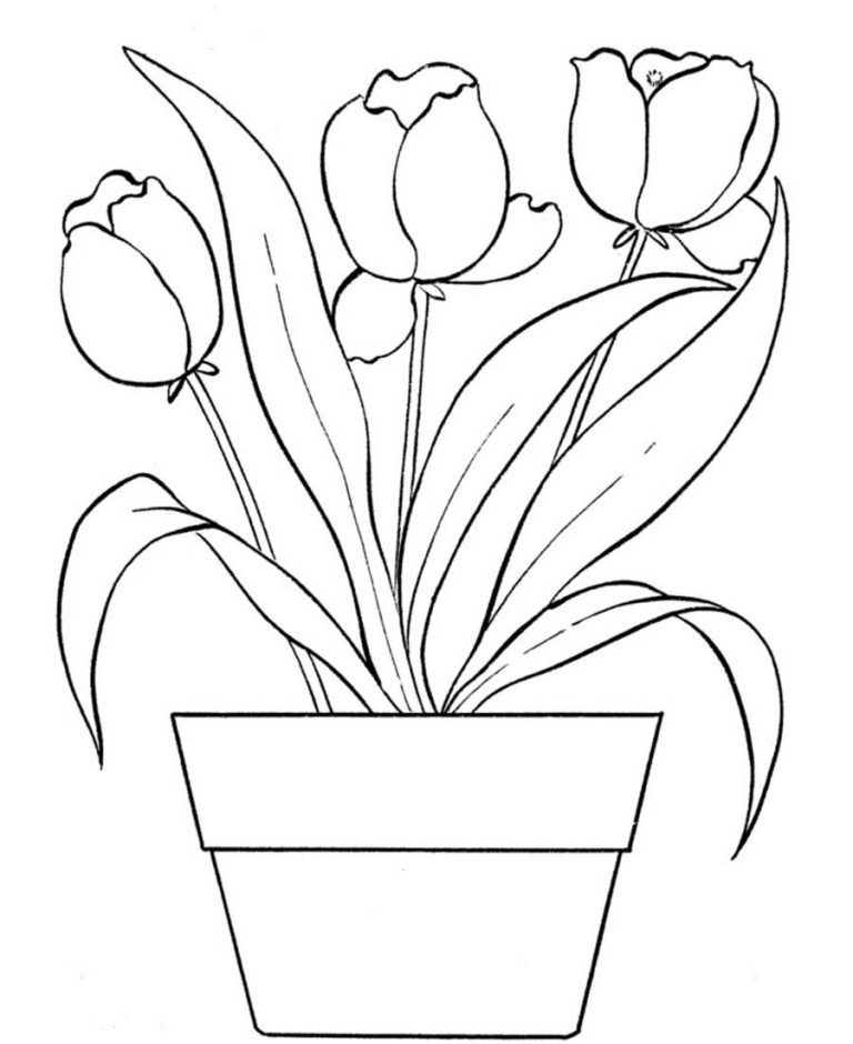 Easy Tulip Coloring Pages
