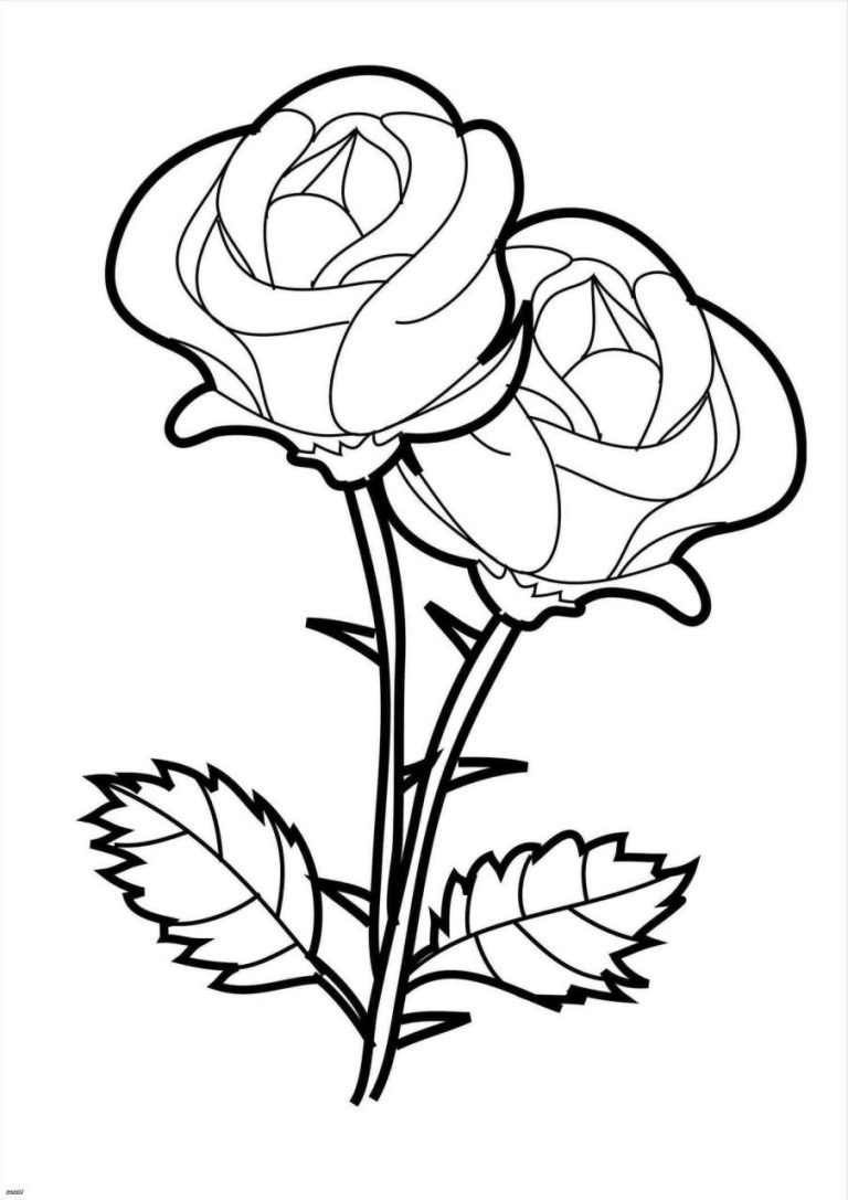 Simple Rose Flower Coloring Pages