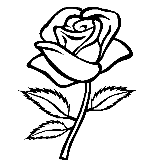 Rose Flower Coloring Pages For Kids
