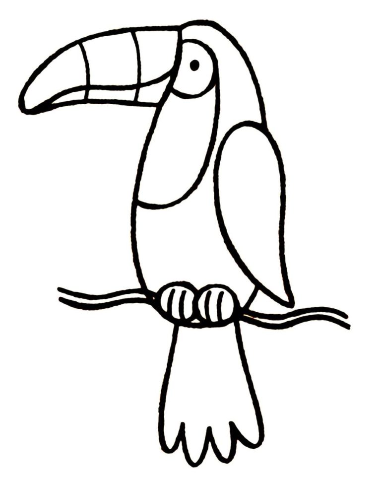 Realistic Toucan Coloring Page