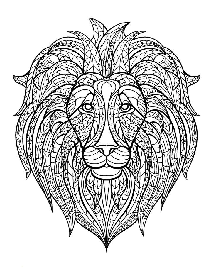 Mindfulness Colouring Pages Lion