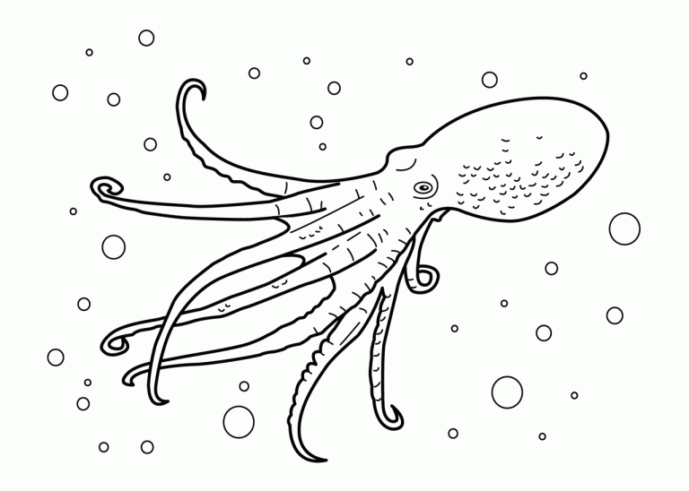 Realistic Sea Creatures Coloring Pages