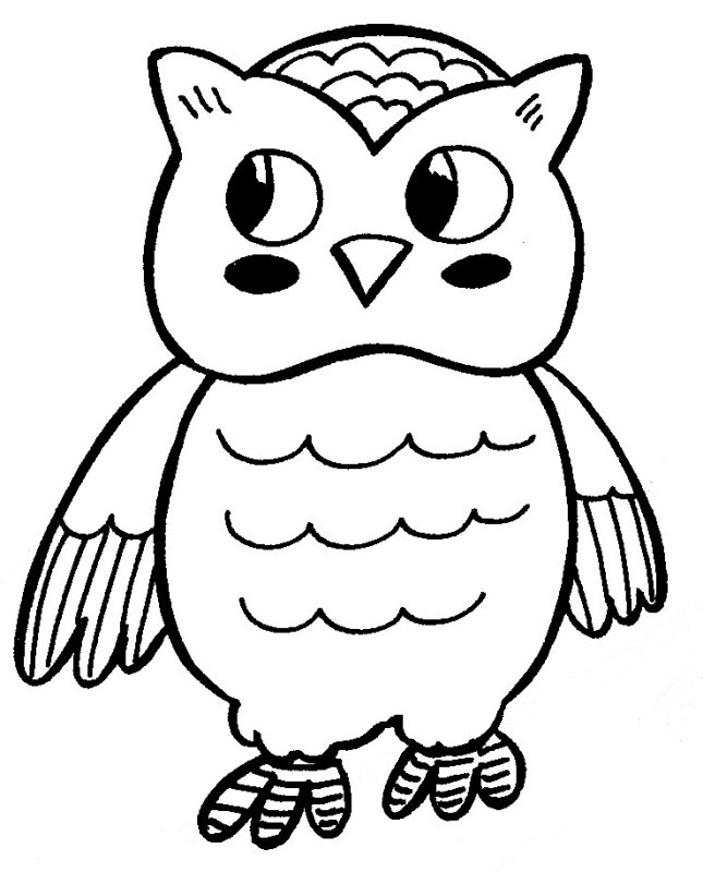 Baby Owl Pictures To Color