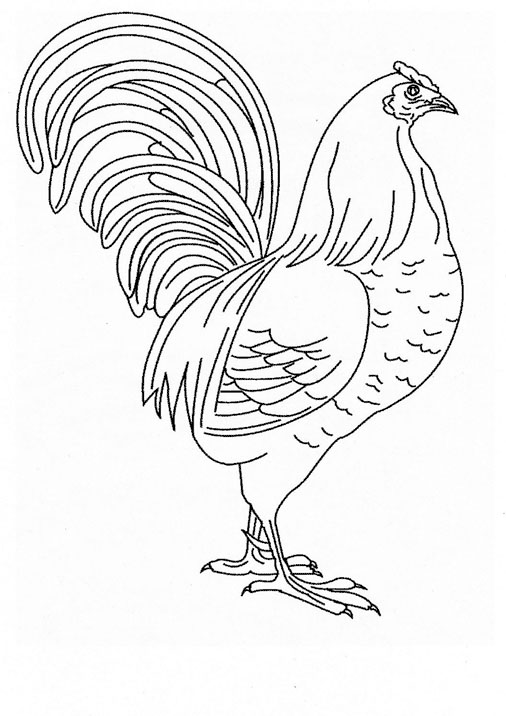 Simple Rooster Coloring Page
