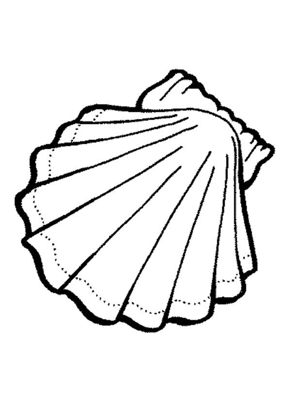 Seashell Coloring Pages For Kids