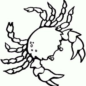Cartoon Sea Creatures Coloring Pages