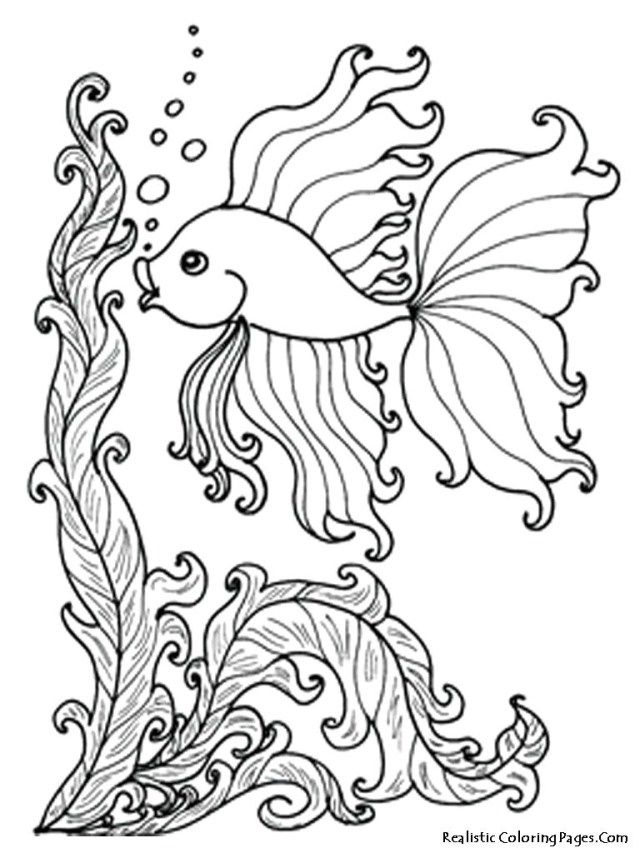 Underwater Coloring Pages For Kids