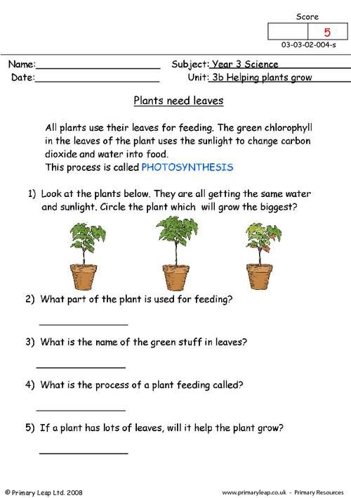 Science Growing Plants Worksheets For Grade 5