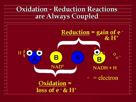 Spontaneity Of Redox Reactions Worksheet Answers
