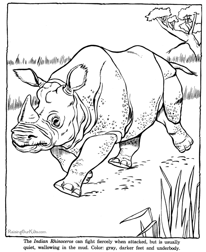 Rhino Coloring Pages For Kids