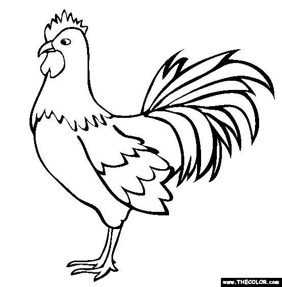 Rooster Coloring Pages Free Printable
