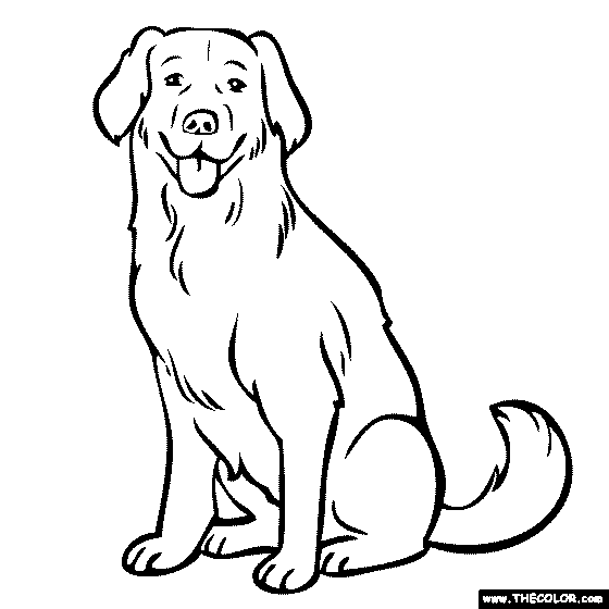 Labrador Printable Dog Coloring Pages