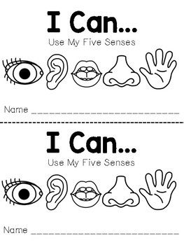My Five Senses Worksheets For Kindergarten