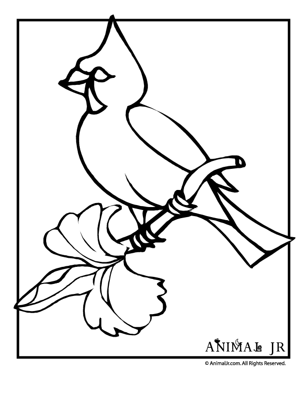 Winter Cardinal Coloring Page