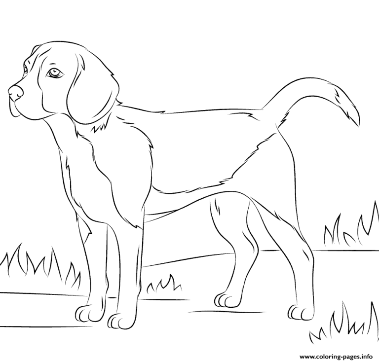 Realistic Coloring Pages Of Dogs