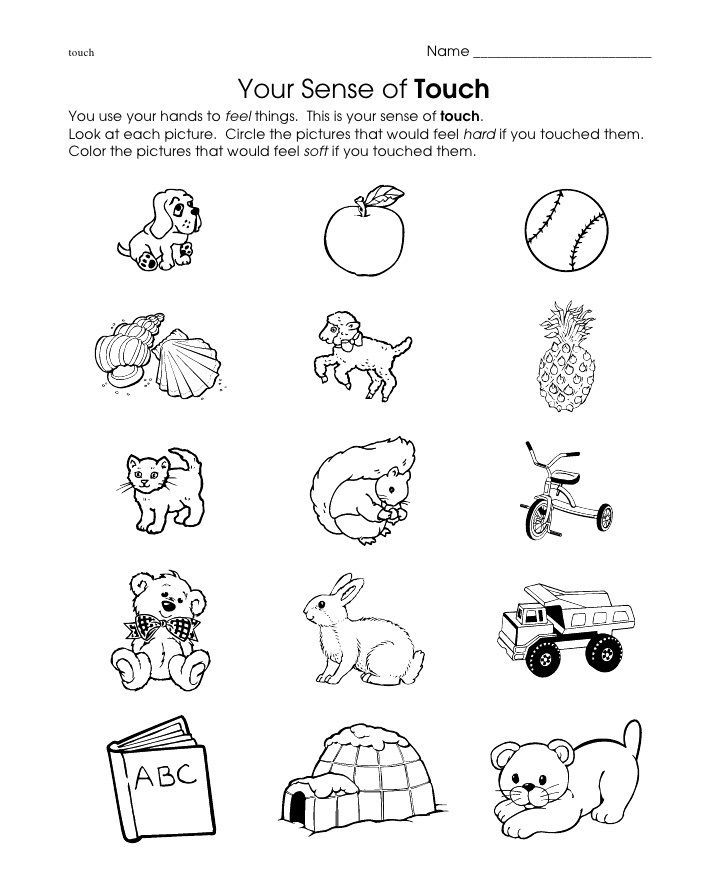 Printable Five Senses Worksheets For Preschool Pdf