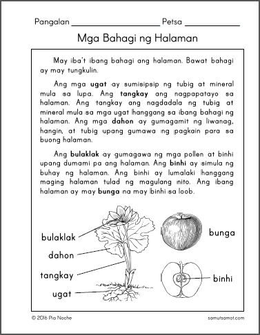 Filipino Reading Comprehension Worksheets For Grade 3 Pdf