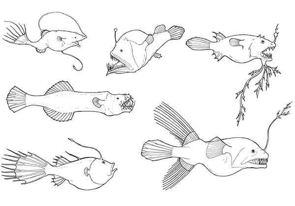 Deep Sea Coloring Pages