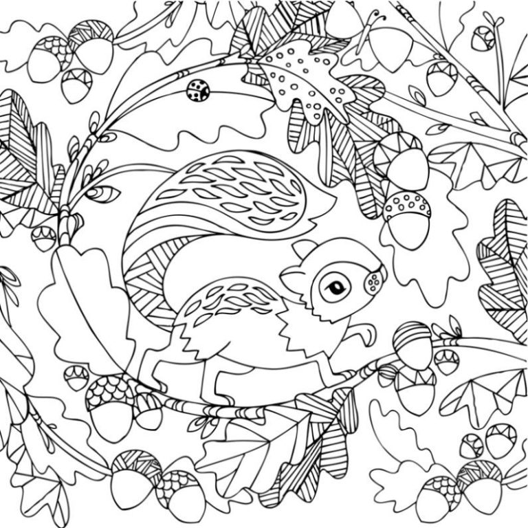 Squirrel Acorn Coloring Pages