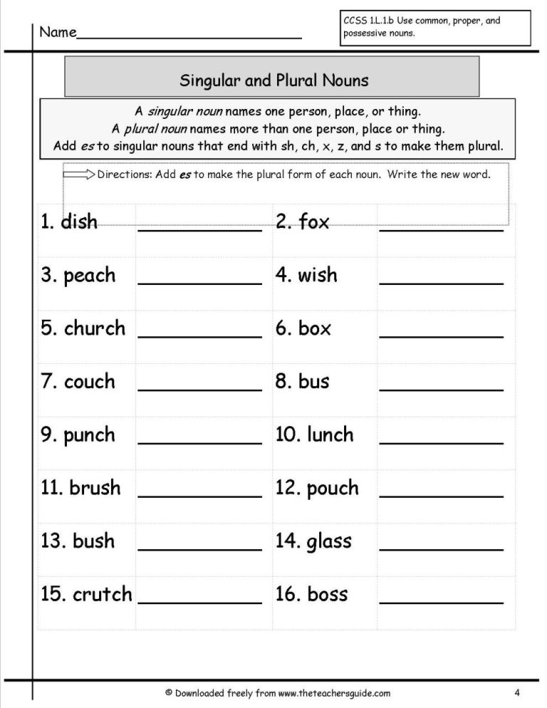 Printable Singular And Plural Nouns Worksheets Pdf Grade 2