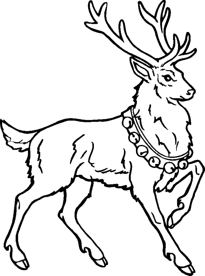 Christmas Coloring Pages For Adults Reindeer