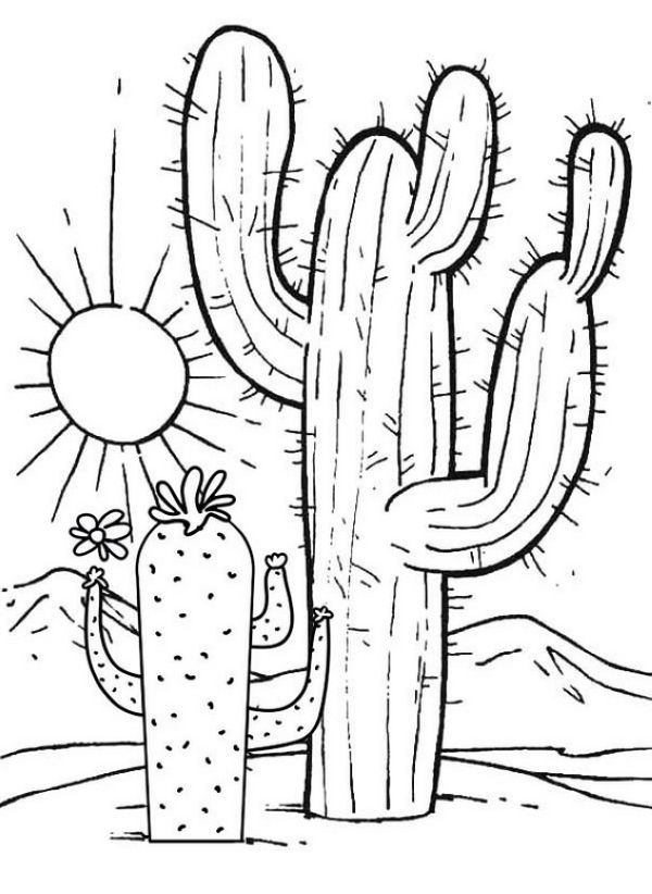 Cactus Desert Coloring Pages