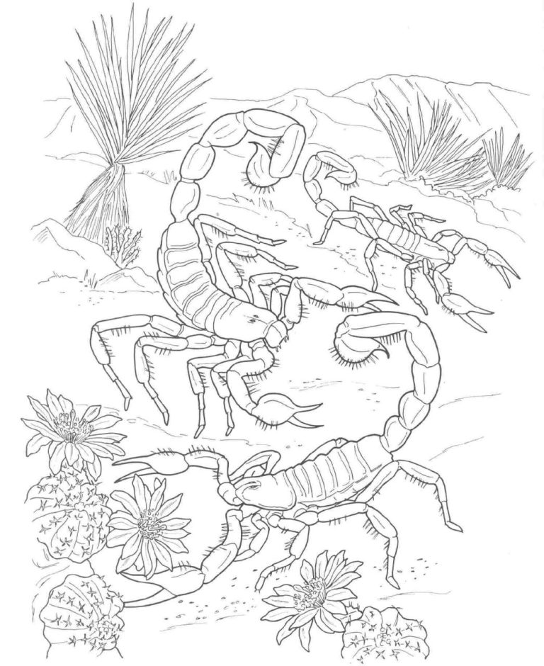 Realistic Scorpion Coloring Page