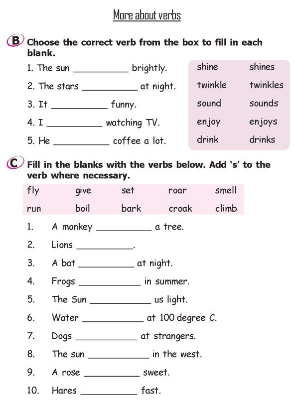 English Language Worksheet For Class 2nd