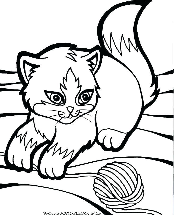 Cute Kitten Coloring Pages Printable