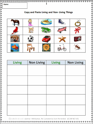 Science Living And Nonliving Things Worksheets For Grade 3 Pdf