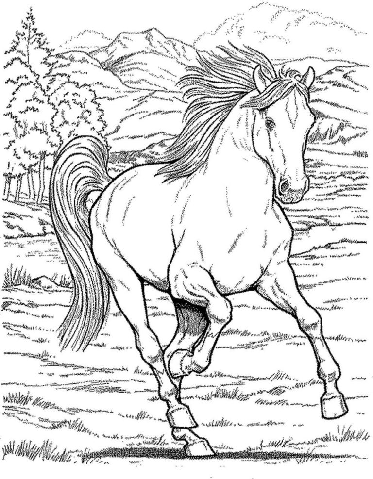Pretty Horse Realistic Horse Coloring Pages