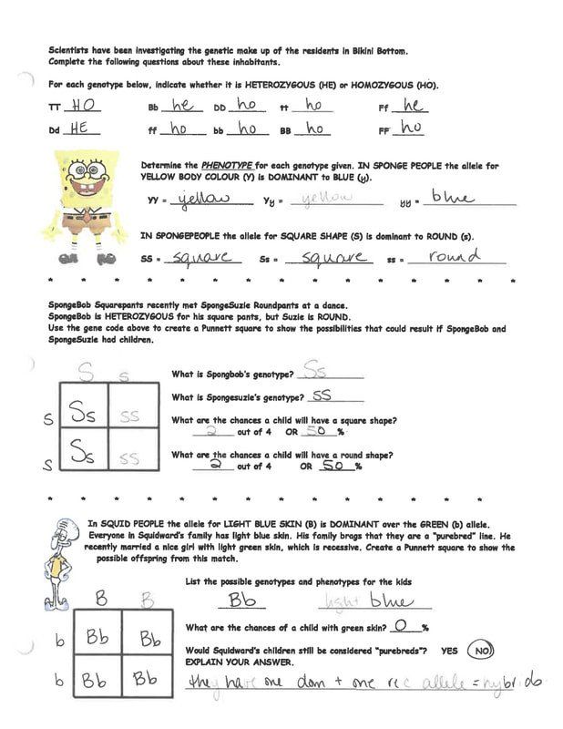 Investigating Ions Worksheet Answer Key