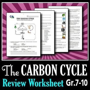 Modeling The Carbon Cycle Worksheet Answers