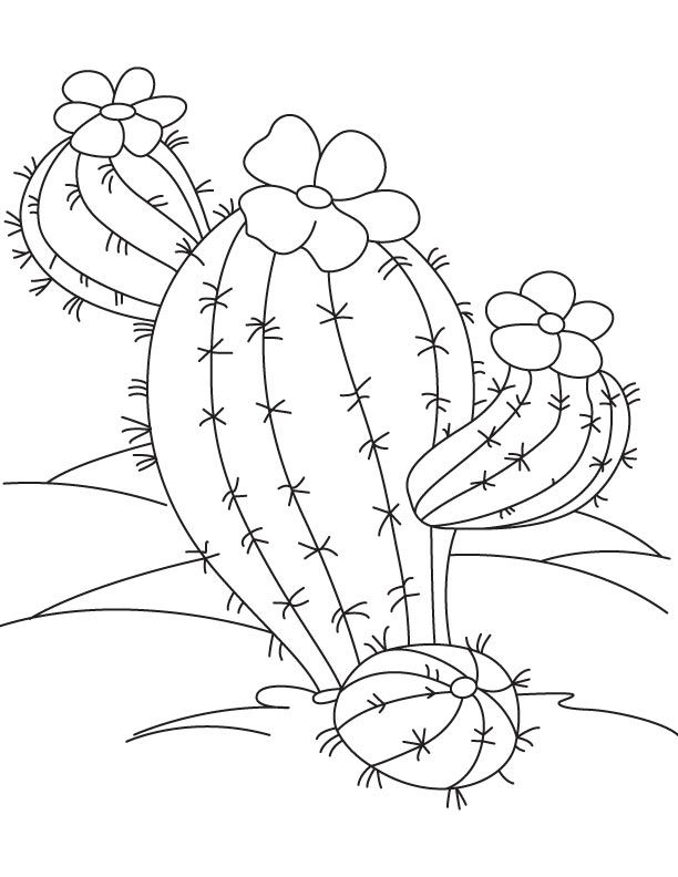 Simple Desert Coloring Pages