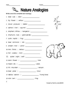 7th Grade Analogy Worksheets With Answers