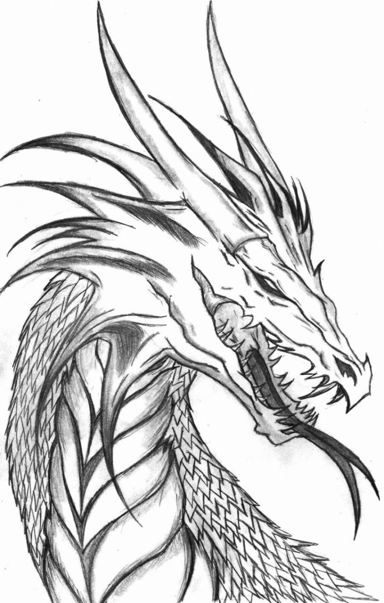 Difficult Coloring Pages Of Dragons
