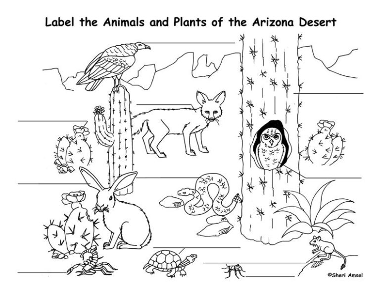 Desert Coloring Pages For Kids