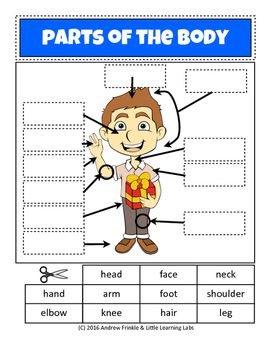 My Body Parts Worksheet For Class 1