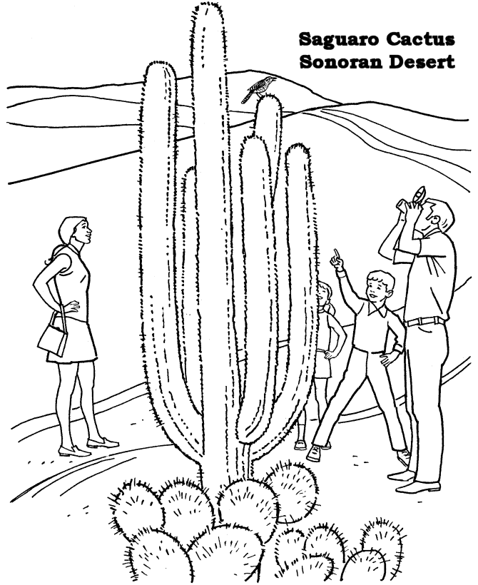 Desert Coloring Pages For Adults