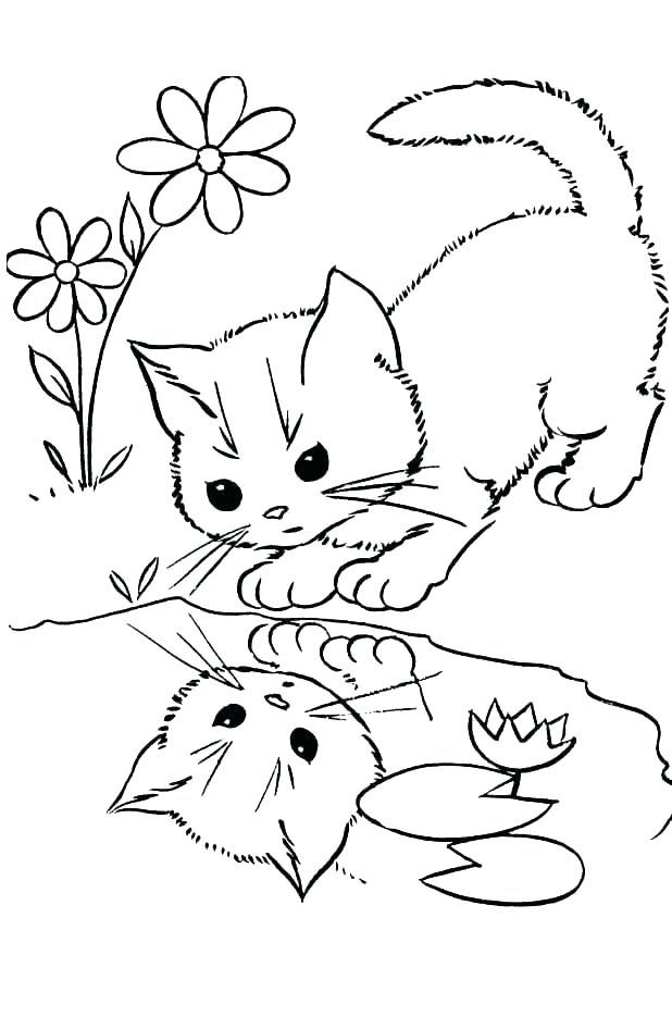 Cat Cute Kitten Coloring Pages