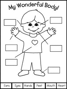 My Body Parts Worksheet For Kids