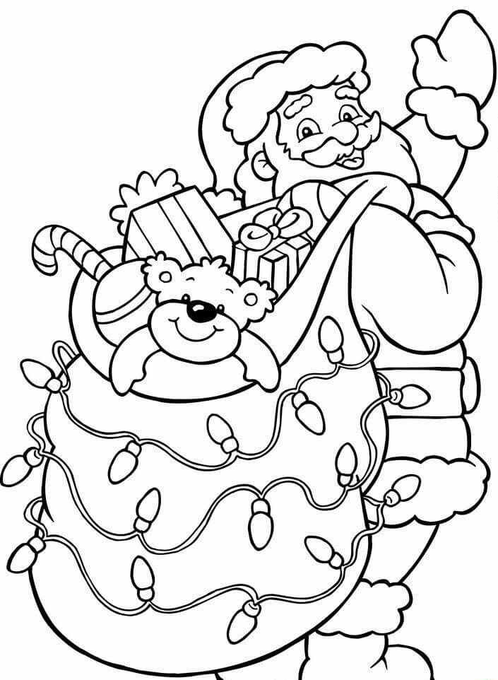 Realistic Red Panda Coloring Page