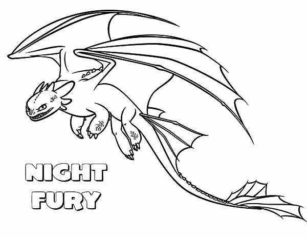 Night Fury Light Fury Coloring Pages