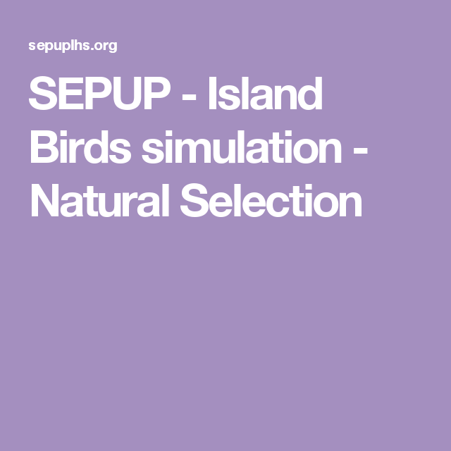 Sepup Natural Selection Worksheet Answers