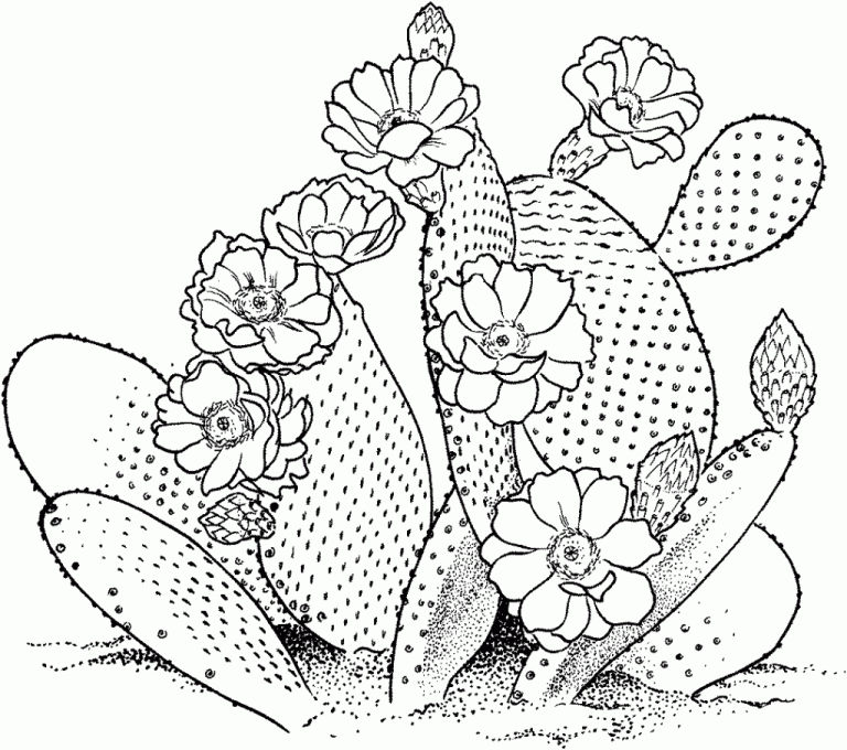 Cactus Coloring Pages For Kids