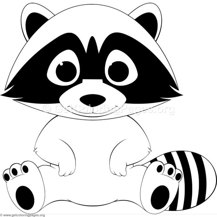 Racoon Coloring Pages For Kids