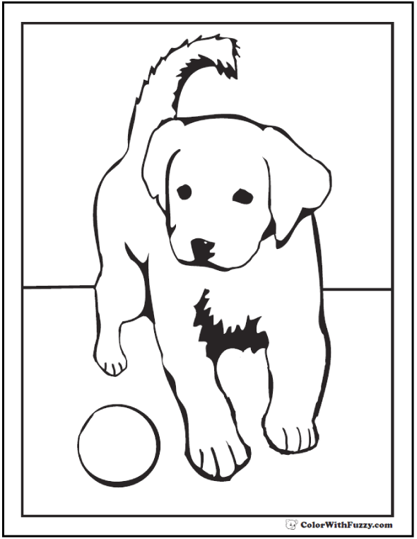 Baby Golden Retriever Coloring Pages