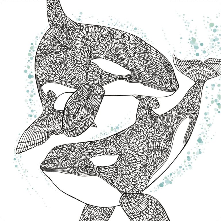 Orca Coloring Pages For Kids