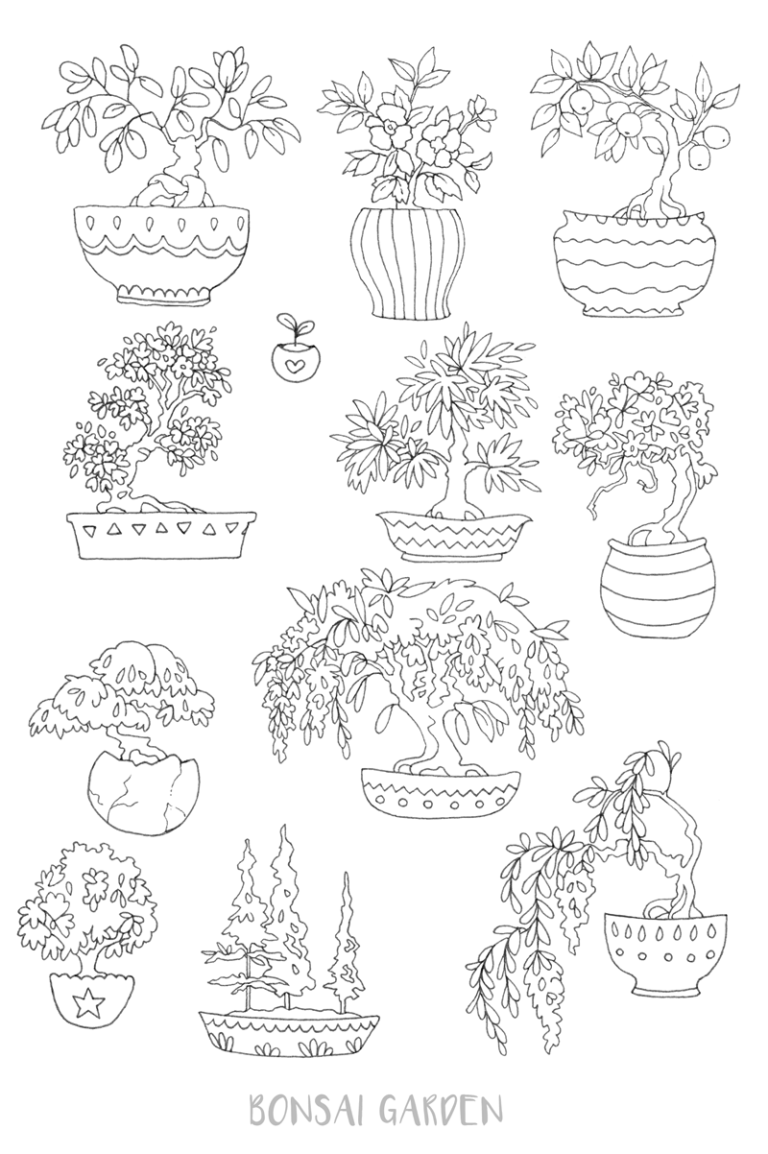 Simple Succulent Coloring Page