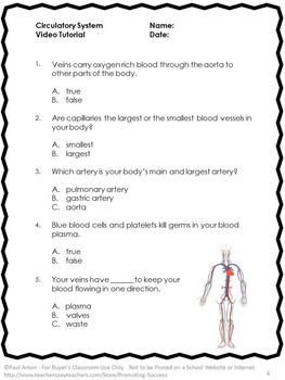 5th Grade Grade 5 Science Worksheets Human Body